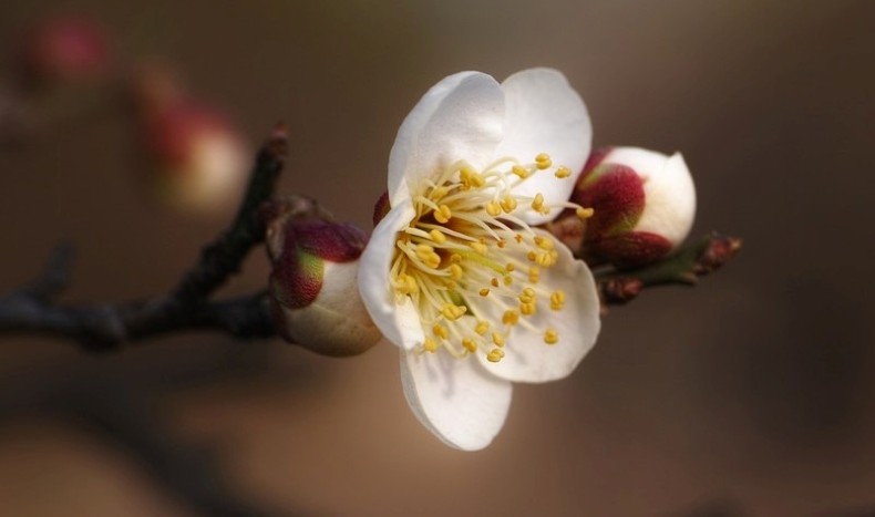 Gode nok som vi er  Gode nok som vi er