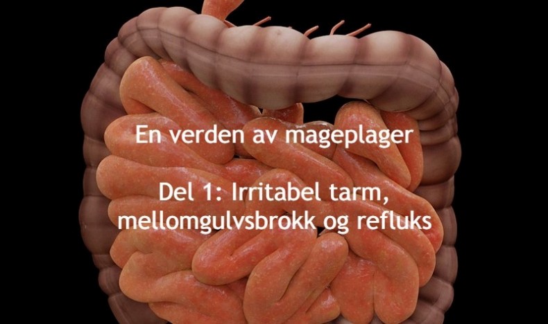 En verden av mageplager del 1 En verden av mageplager del 1