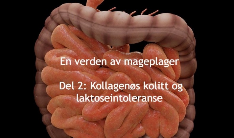 En verden av mageplager del 2 En verden av mageplager del 2