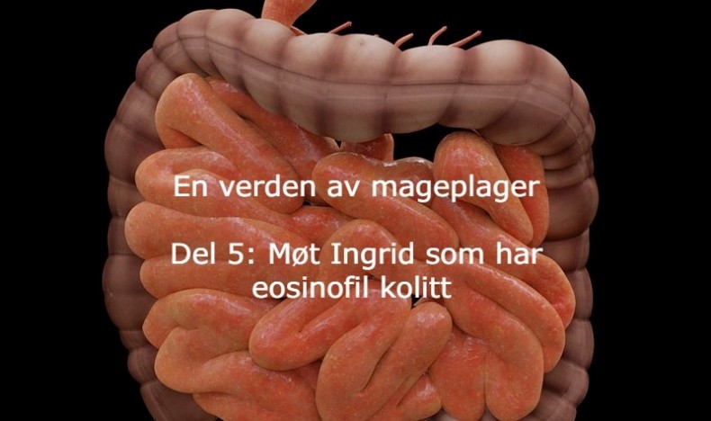 En verden av mageplager del 5 En verden av mageplager del 5