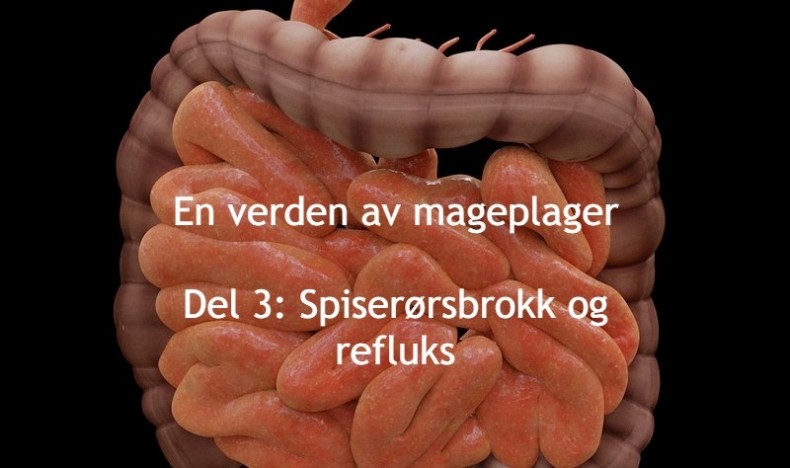 En verden av mageplager del 3 En verden av mageplager del 3