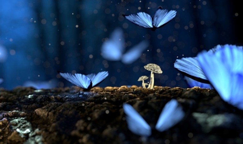 Leserbrev fra LMF-medlem Leserbrev fra LMF-medlem