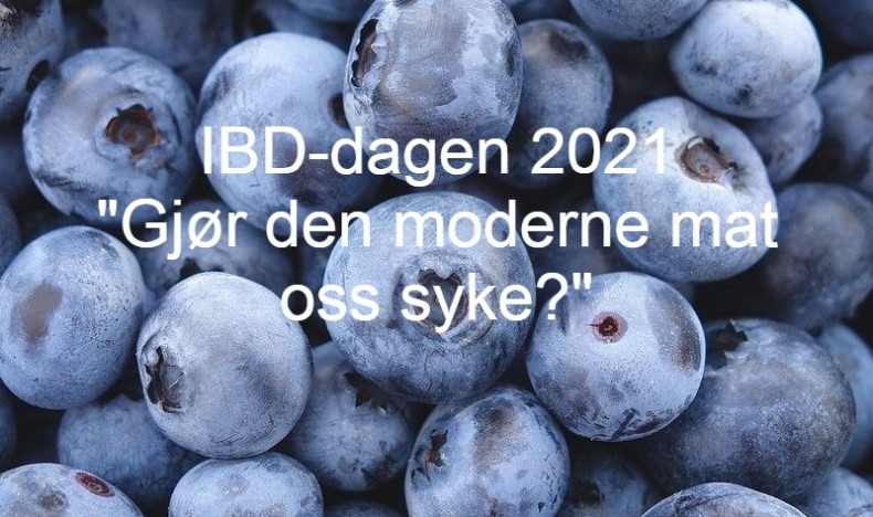IBD-dagen 2021: Gjør den moderne mat oss syke?   IBD-dagen 2021: Gjør den moderne mat oss syke?