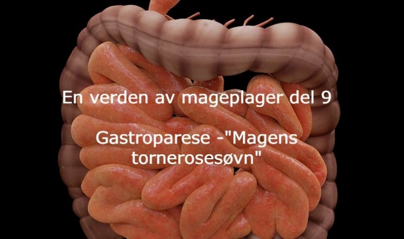 En verden av mageplager del 9 En verden av mageplager del 9